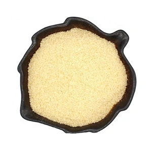 spot Chinese factory price high-quality gelatin powder big size gelatin 120-300 bloom 8-60 mesh